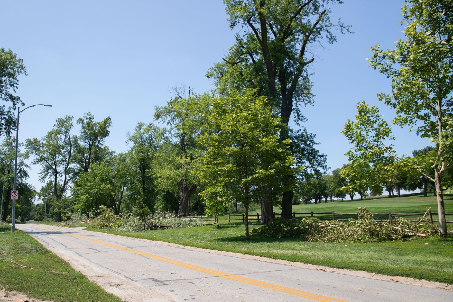 071321-owh-new-trees-LS02.JPG